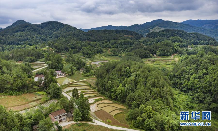 秦巴小山村的華麗蛻變