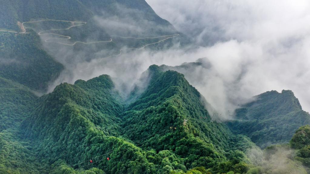 云卷云舒龍頭山